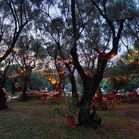 Hostal Antico Uliveto Seravezza Exterior foto