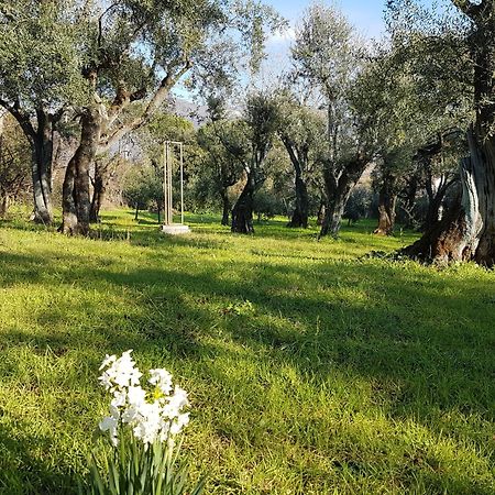 Hostal Antico Uliveto Seravezza Exterior foto