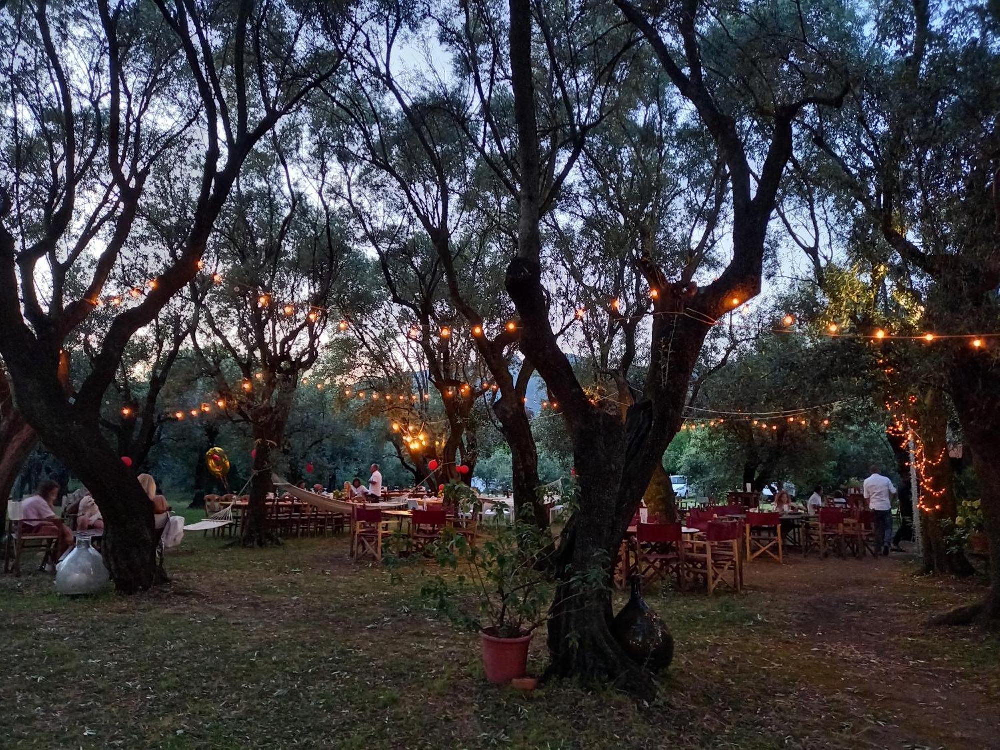 Hostal Antico Uliveto Seravezza Exterior foto