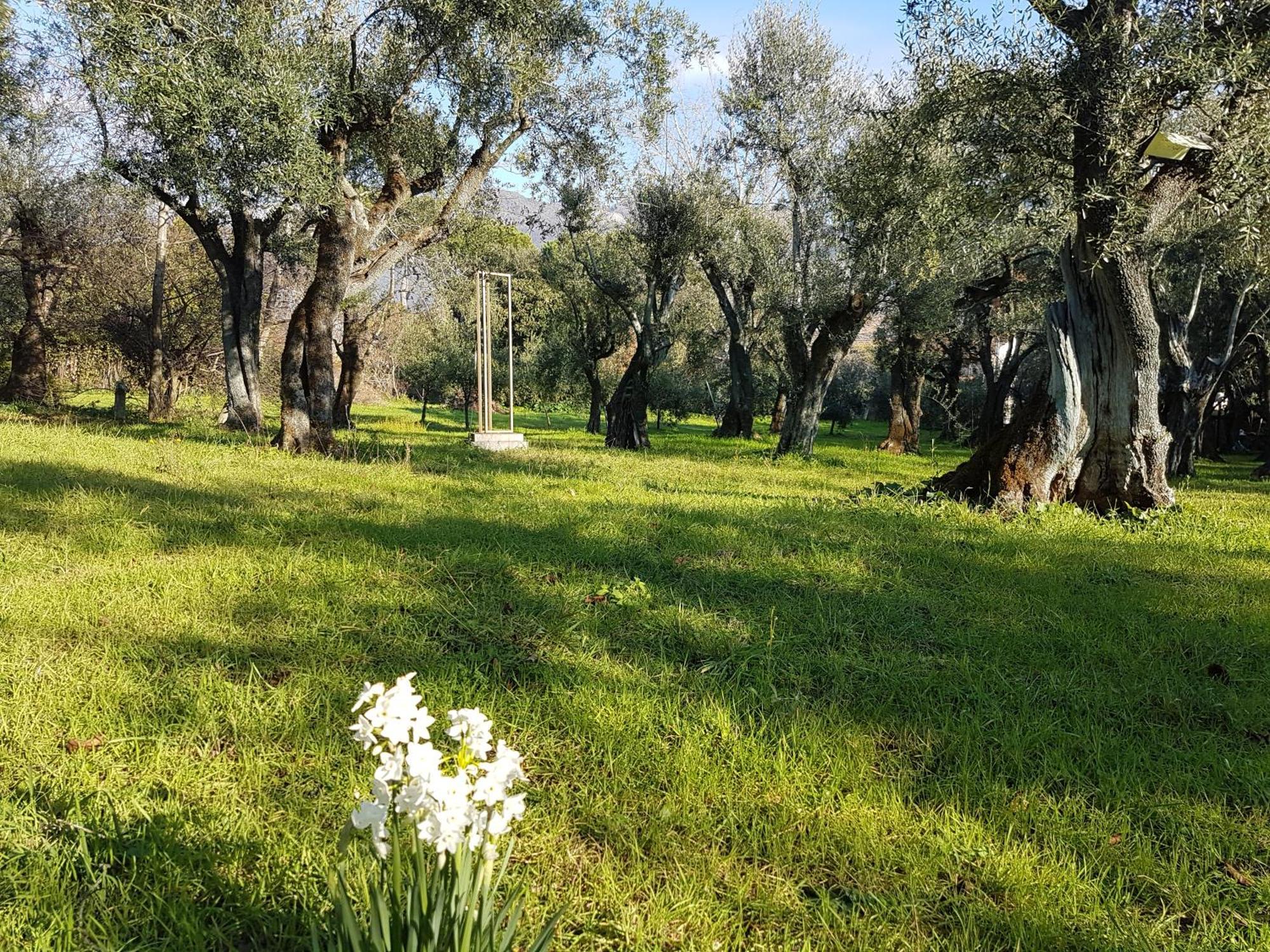 Hostal Antico Uliveto Seravezza Exterior foto